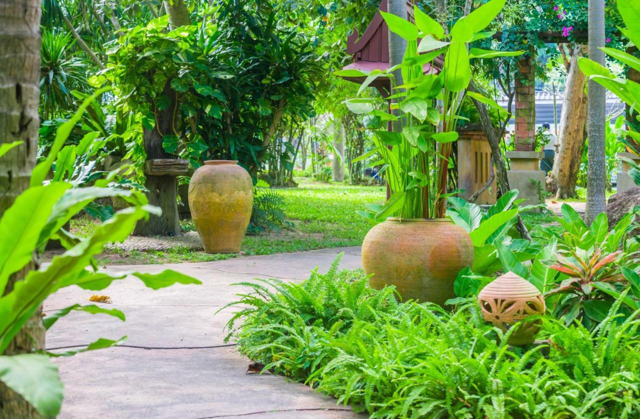 Samui Sense Beach Resort Lamai Beach  Exterior foto